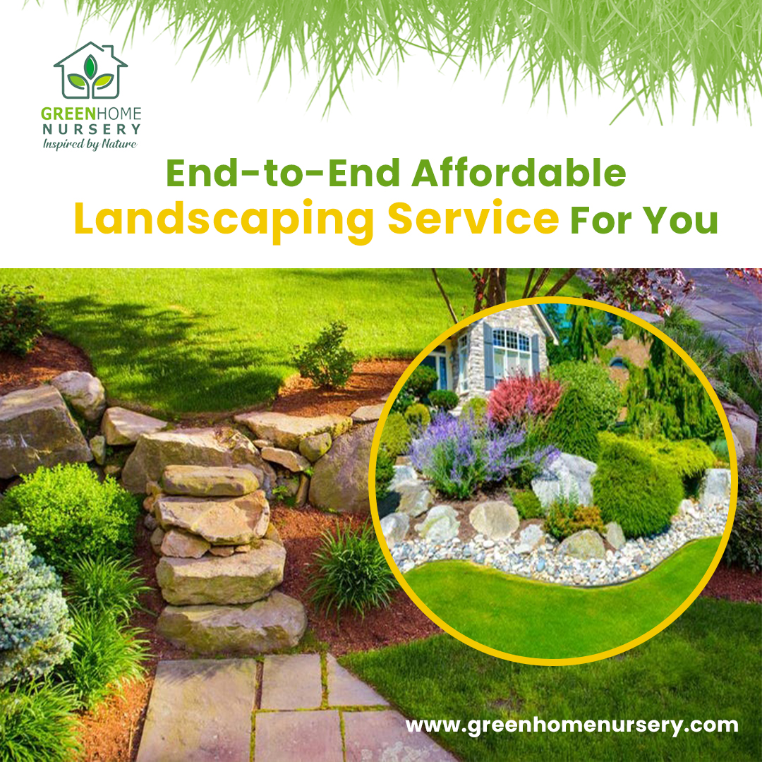 GreenhomeN's tweet photo. Recently, we provided our client with a grass landscaping service and made the lawn seem beautiful. Check out how gorgeous it is right now!

☎️ +91- 9816038390
🌍 https://t.co/4z2QfbwJsZ

#plants #gardening #green #mohali #Available #nursery #garden #Nurseryplanting https://t.co/0RpP6POTgR