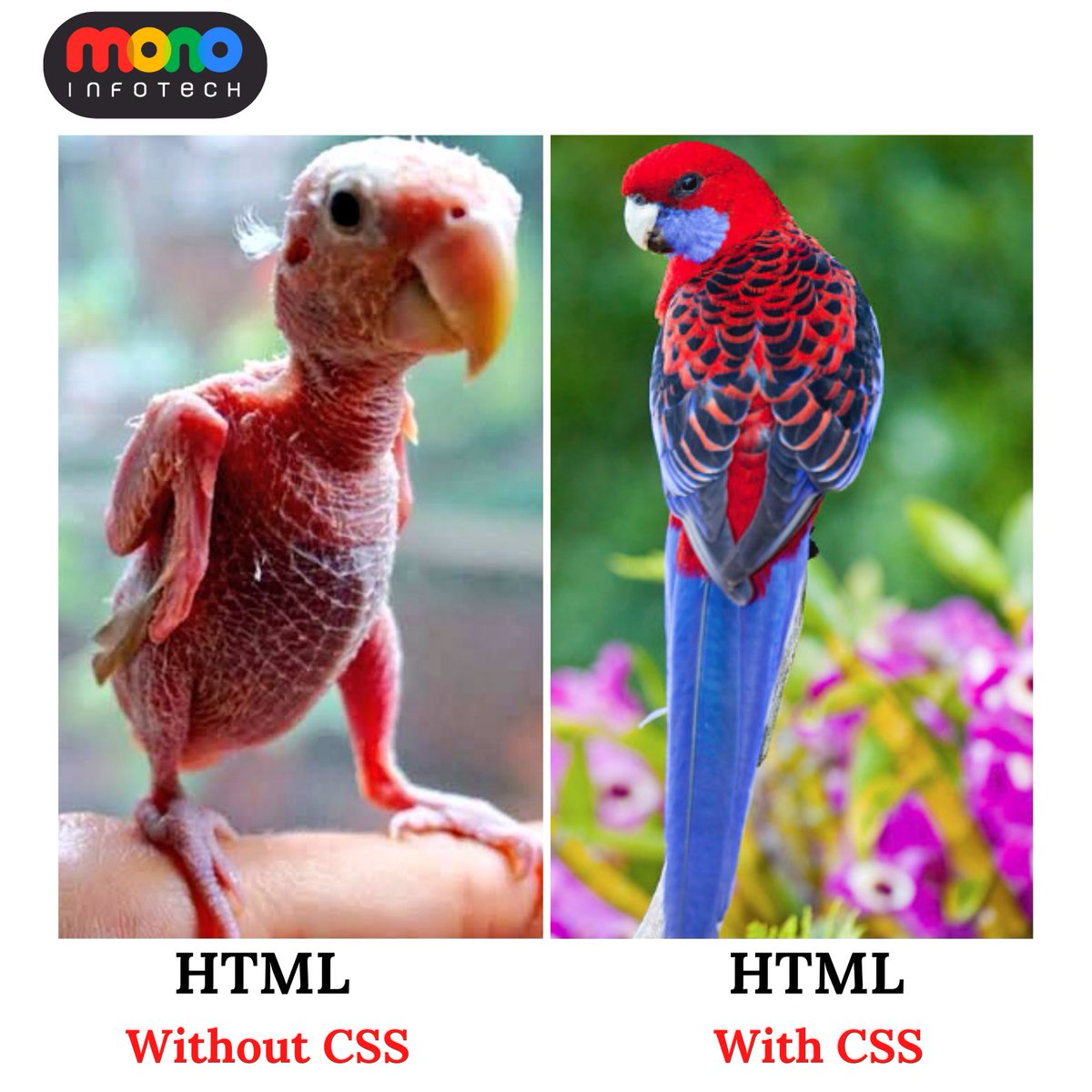 MonoInfotech's tweet image. HTML Without CSS vs HTML With CSS🤣😂
#HTMLwithoutCSS #HTMLwithCSS #Coding #HTML #CSS #WebDevelopment #OfficeMemes #webdesign #MonoInfotech #htmlcss