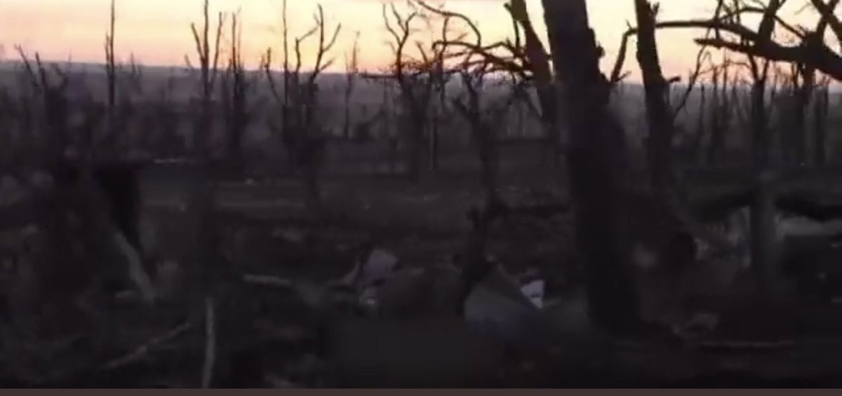 David Lee tweet media