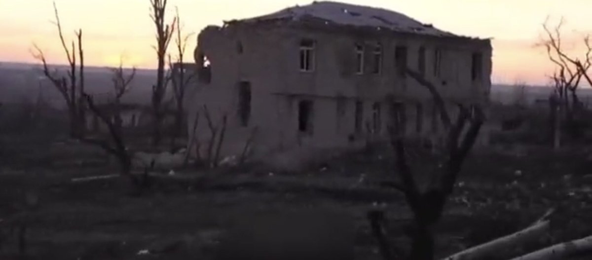 David Lee tweet media