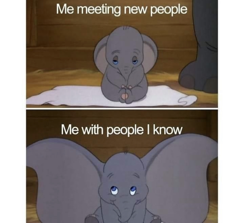 introvert memes (@introvertsmemes) on Twitter photo 