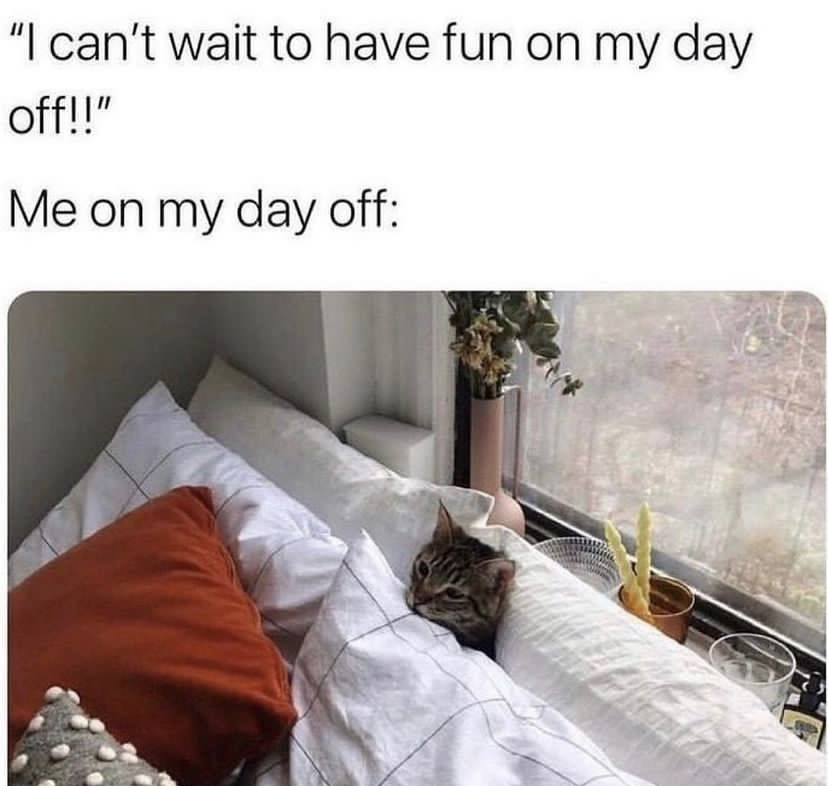 😴💤