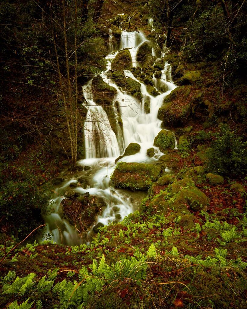 Rooooar she said in the whispers of water

#waterfall #waterfallphotography #waterfalllovers #waterfallchasing #pnw #pacificnorthwest #pnwonderland #pnwphotographer #pnwisbeautiful #landscapephotography #wildingarts instagr.am/p/Cnvwzk1OuXE/