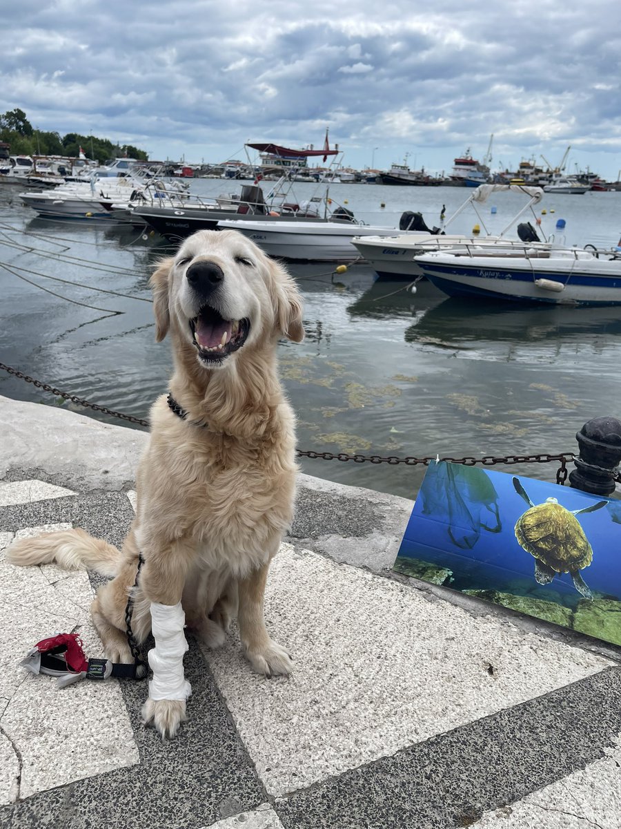 Hera kanseri yenemedi..🥲🙏 #Hera