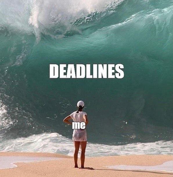 Sparkling Sunset Star💫 tweet media