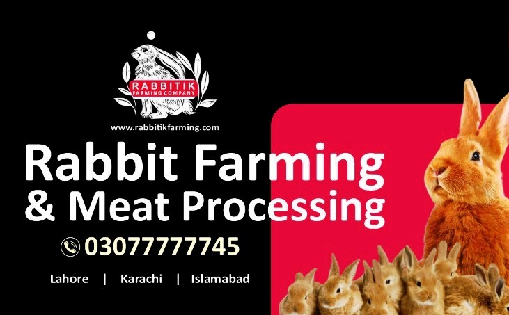 Rabbitik Farming tweet media