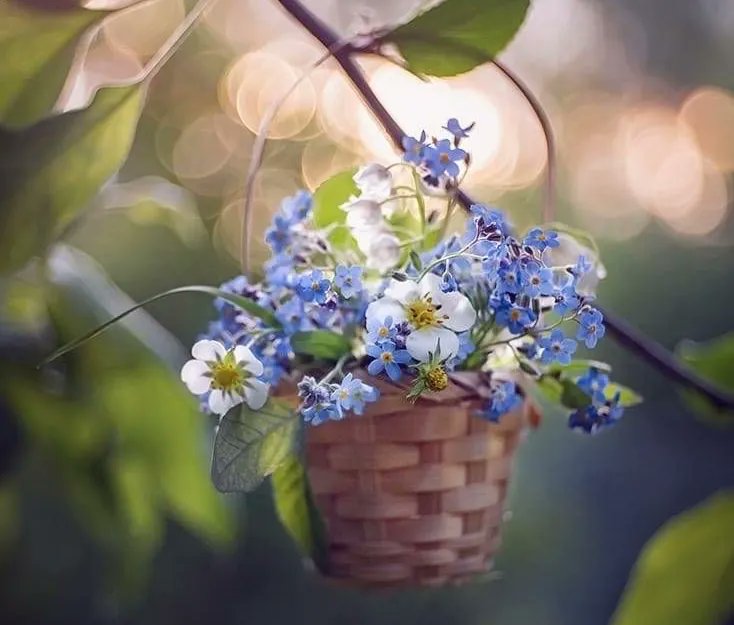 IconsTherapy's tweet photo. «Человеку свойственно искать радость, это неназванный биологический инстинкт выживания.»
~ Наталья Бехтерева. https://t.co/2v7ExpPxFZ