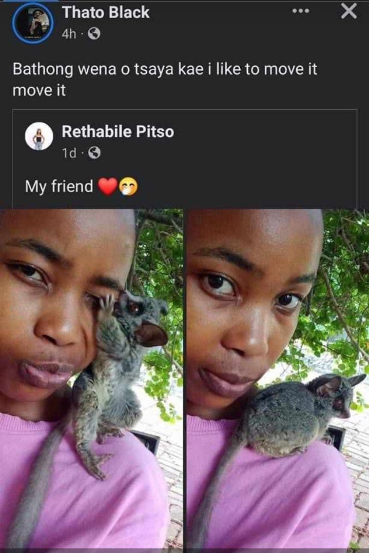 DonknowMcgrego's tweet image. The village is hella wild 😂😂😂😂