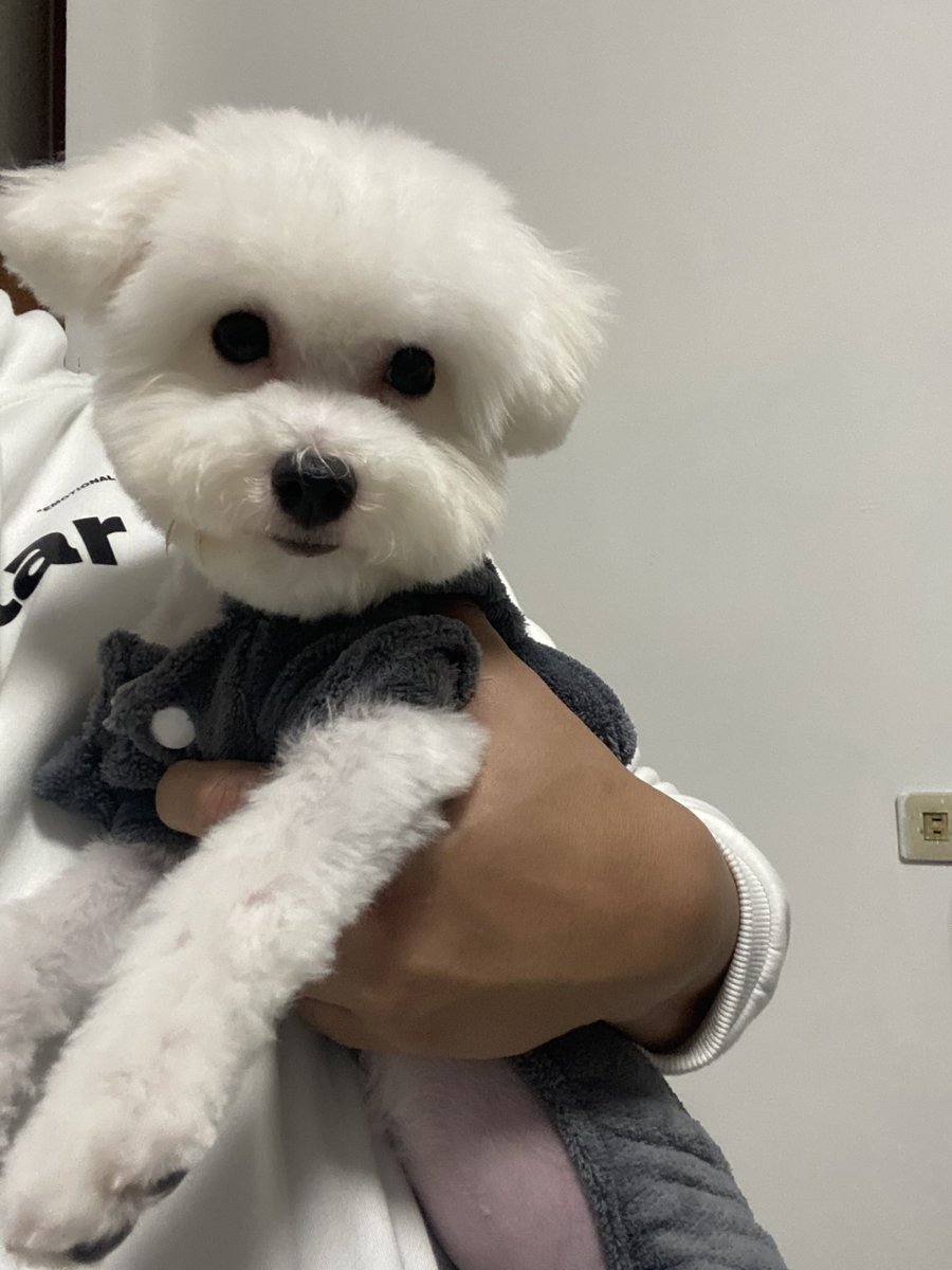 快快長大❤️