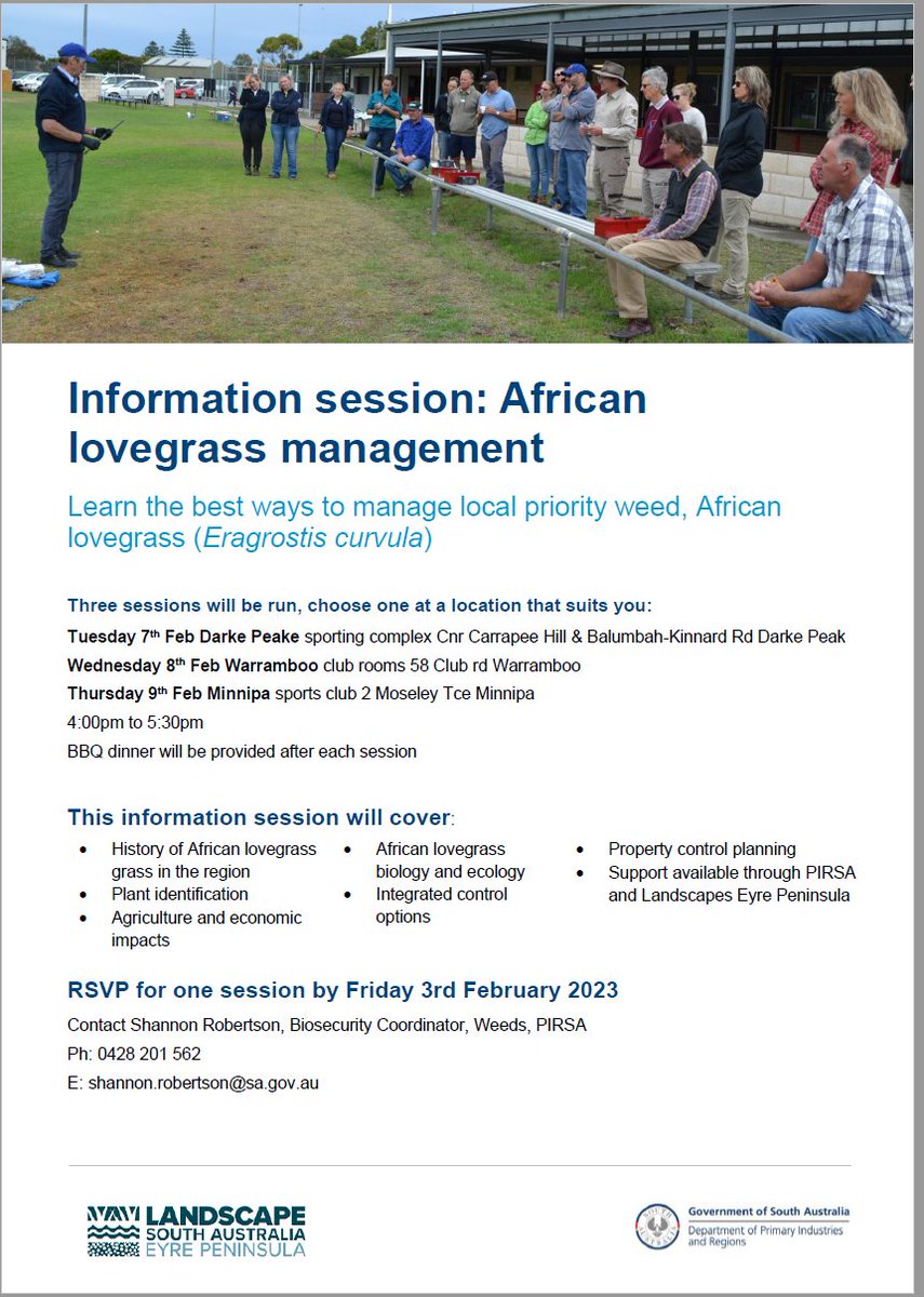 For anyone with African lovegrass issues, management workshop coming up in a few weeks