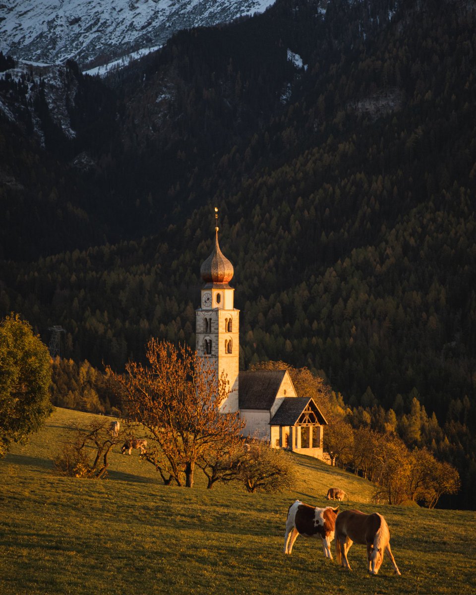 fabirydel's tweet photo. Sharing photos from a location I've travelled to until I run out of locations I've travelled to #1, Siusi Seis, Italy 🇮🇹
#landscapephotography #travelphotography #siusi #dolomites #photosaday #dailyphotos #italy https://t.co/AMaHsxYZnM