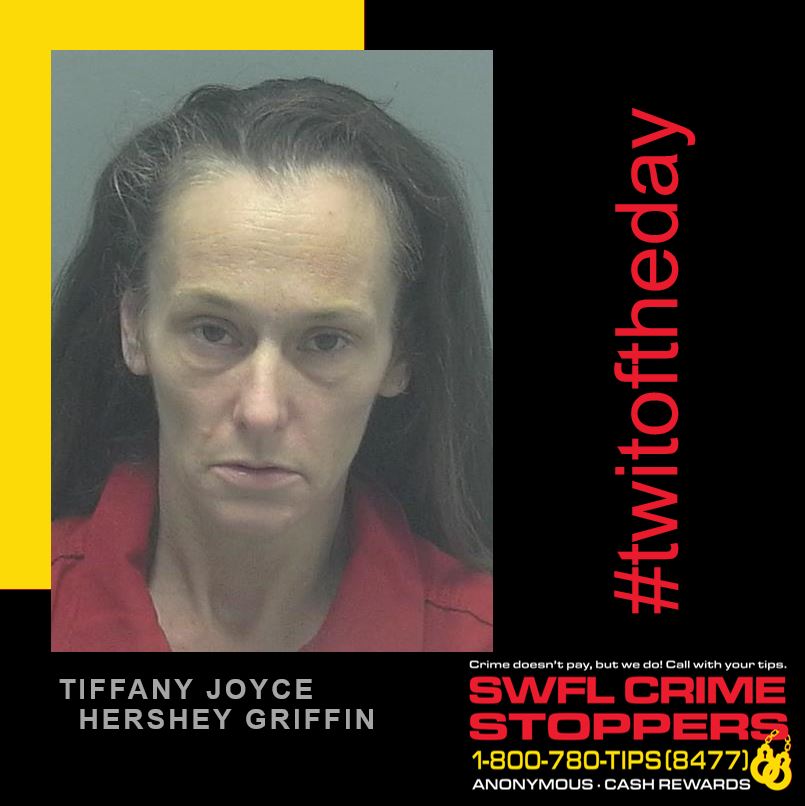 SWFLCrime8477's tweet photo. Monday's #twitoftheday is Tiffany Joyce Hershey Griffin wanted in Lee County for violation of probation possession of heroin. If you know where she is, call Crime Stoppers at 1-800-780-TIPS. Tips may also be made online at https://t.co/p8fdyWMRbB. Cash reward possible! https://t.co/aIAXGOOSMz