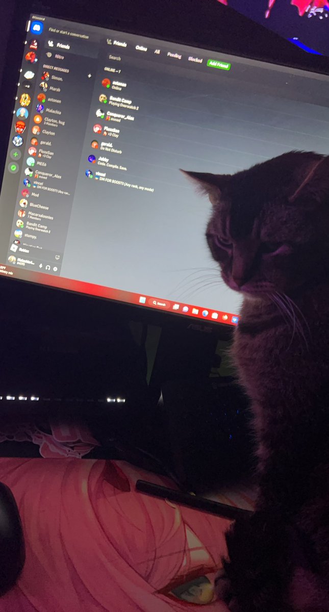RyanMalachia's tweet photo. What my cat’s a discord mod https://t.co/cWmK24mAbb