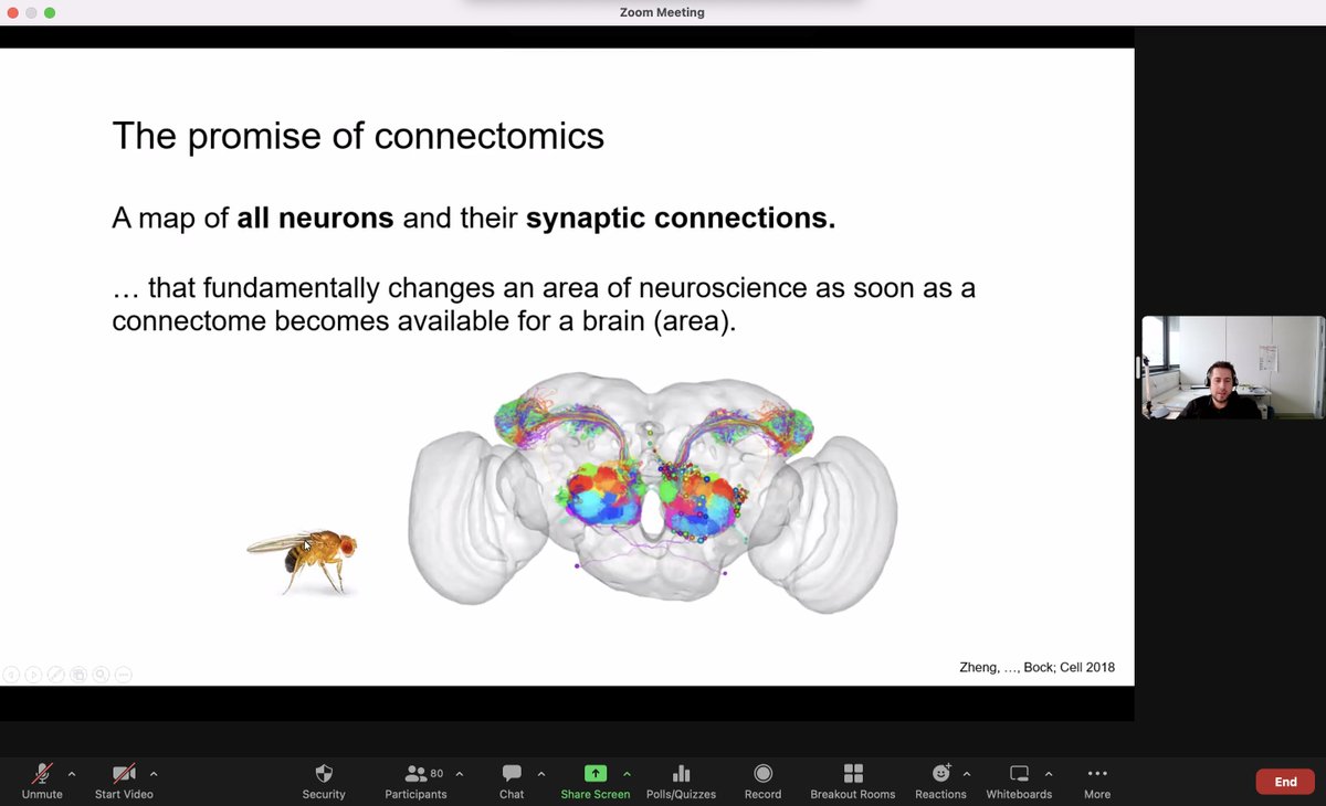 CompHealthMuc's tweet photo. A new week means another #comphealth seminar🎉 Thanks to @jmrko for the insightful talk today on "Reconstructing neural networks with neural networks" 🧠💪 https://t.co/903BnLIhh2