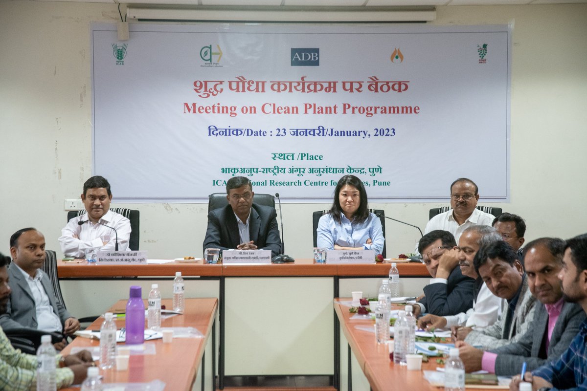 ABI_Draksha's tweet photo. A #CleanPlantProgram was organized @ICAR_NRCG #Pune 23/01/2023 Highlighted issues &amp; importance of #CleanPlants #PriyaRanjan #KaushikBanerjee Officials of #NHB #MIDH #MahaHort &amp; delegates from #Sahyadri #Graftech #OmGayatri #DurgaNursery participated in event 
@icarindia @AgriGoI https://t.co/u6fUm5bZBM