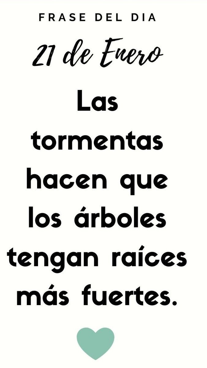 Fermin Rivas Sotomayor tweet media