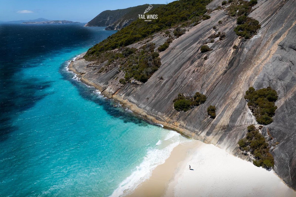 Tail Winds Aerial Media tweet media