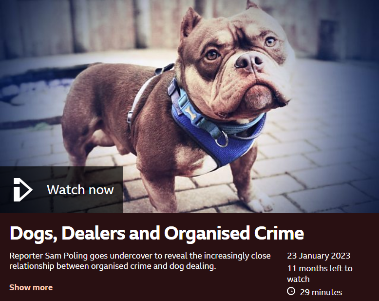 bbc.co.uk/programmes/m00…

#Panorama #dogsoftwitter #dogsontwitter #dogtwitter #TeamZay #puppies #adoptdontshop #MondayMotivation #mondaythoughts #backyardbreeder #backyardbreeders #wheresmum #LucysLaw #cutthecrop #flopnotcrop #flopdontcrop #banthecrop #thismorning @DogsMonthly