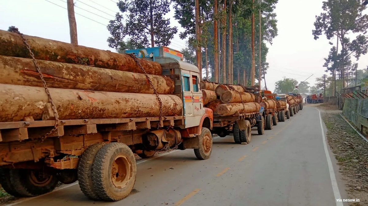 #India: Eight trucks with illegal timber seized at Assam-Arunachal border

ow.ly/qxf350Mxzut

#illegallogging #deforestation