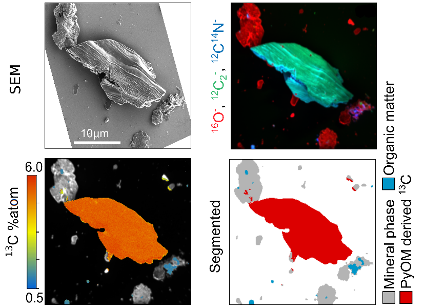New paper <a href="/SoilBiolBiochem/">Soil Biology & Biochemistry Journal</a> with exciting #NanoSIMS images from <a href="/TUMsoil/">@TUMsoil</a>: Comparing remainings of 13C-labeled #pyrogenic vs. grass #OrganicMatter under continuous  vs. discontinuous #permafrost.
👉 doi.org/10.1016/j.soil…👈
Great study led by <a href="/MSchiedung/">Marcus Schiedung</a> with @SoilPlantC_SAb!