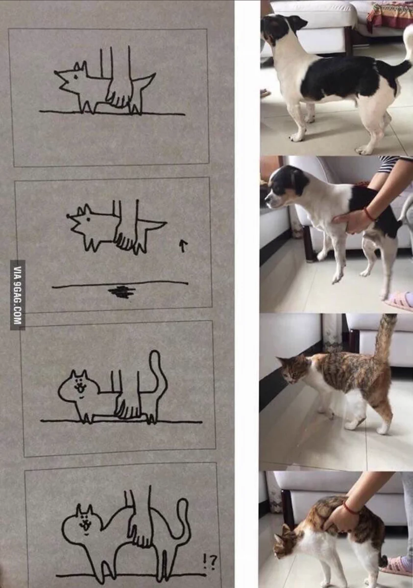 犬と猫の大きな違いってなんだと思う？違いを絵で表してみた！
