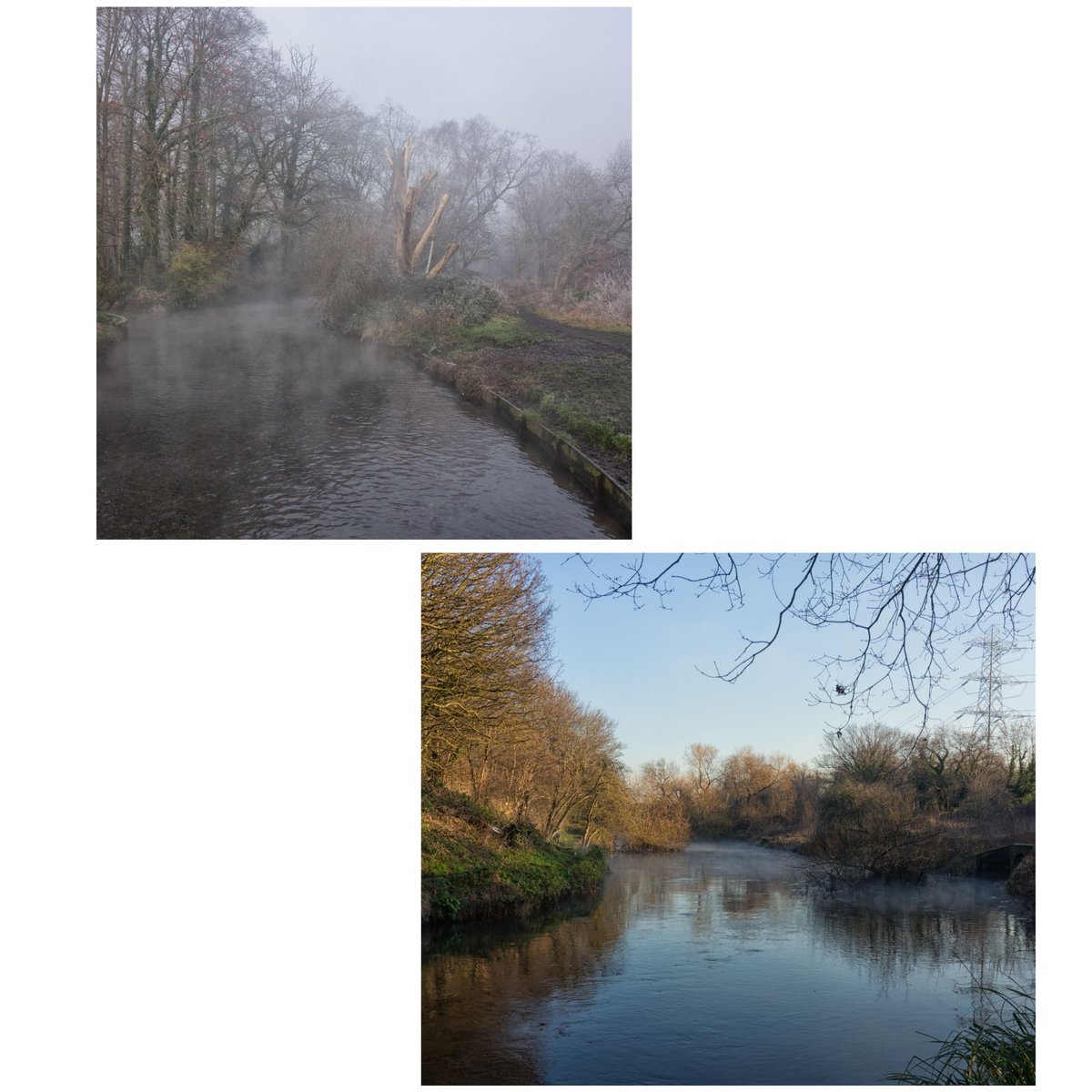 Yesterday's #wandletrail walk #mordenhallpark #misty #foggy #wintry