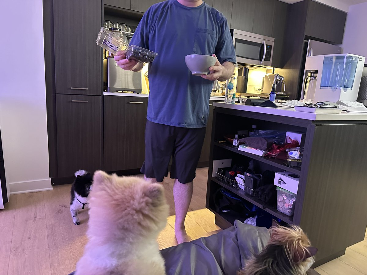 JenDelgadoFOX's tweet photo. I am devastated. I found out a good friend passed away early this Sunday AM. We’re enjoying blueberries & filtered water at 2am. He died naturally 15 minutes later. Jacob was the kindest sole. #RIPJacob. Life is short. I will never forget you. #friends https://t.co/DxsCyn2jVV