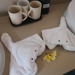 ツイートに含まれる画像