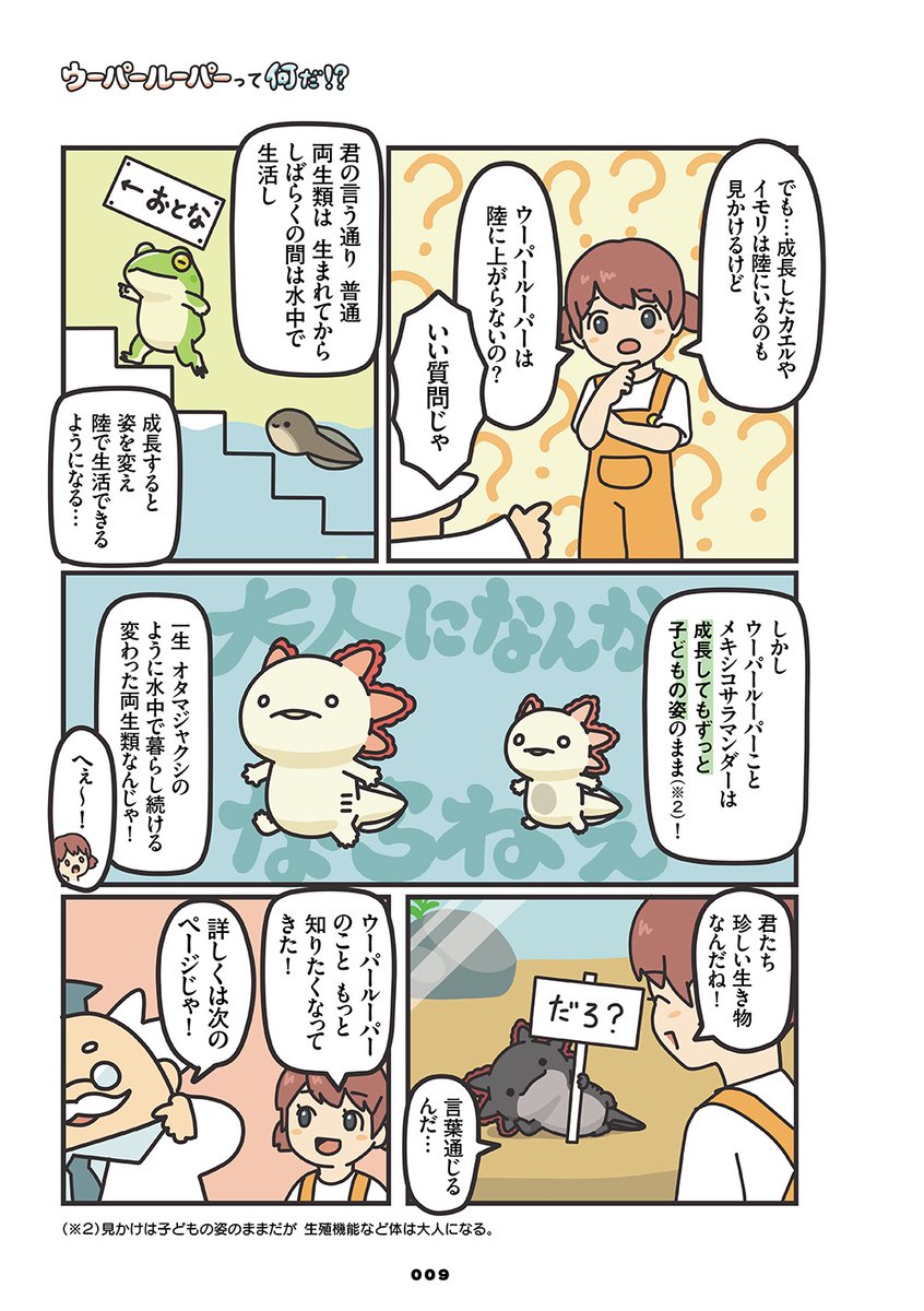 【まんが】
ウーパールーパーとはそもそも何なのか、漫画で解説してみました。
(1/2) 