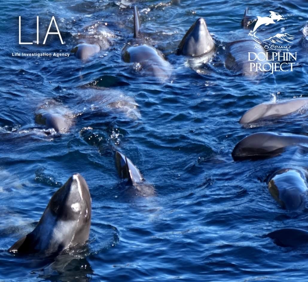 on Twitter "We just posted some 'fun facts' about the