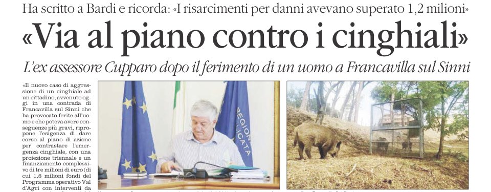 dukana2's tweet photo. Cinghiali?? Magnatevi i #babbei #LukEni 👇prima questo ex assessore 🤣🤣🤣🤣🤣🤣🤣Il piano dei cinghiali contro i #Babbei #LukEni 🤣#Dajeeeeee…..fatevi un giretto alla #Regione #Basilicata…ad #Eni..poi a #TempaRossa e #GnamGnam 😃😃😃😃😃😃😃😃😃😃#CiSalverannoLoro 😃 https://t.co/t9eozLFaSt