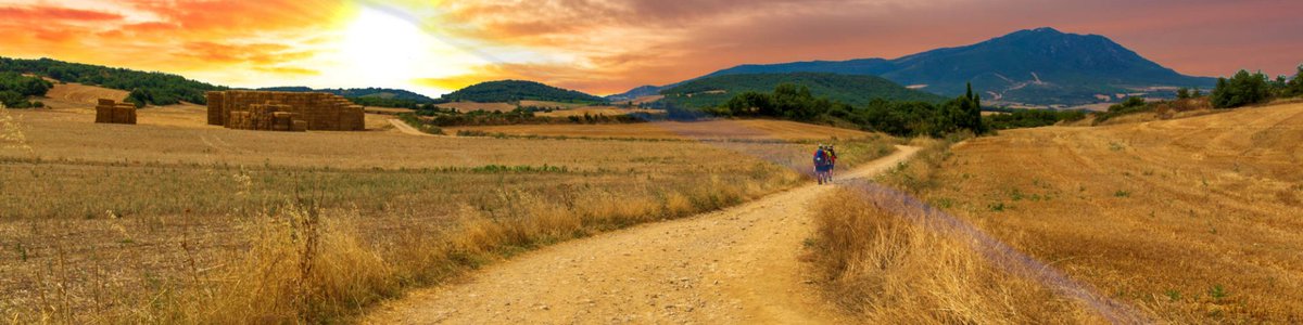 Cammino di Santiago de Compostela: consigli per il percorso escursionistico più bello del mondo, raccolti per noi da @GiroFrancesco. guidemarcopolo.it/articoli/itine…