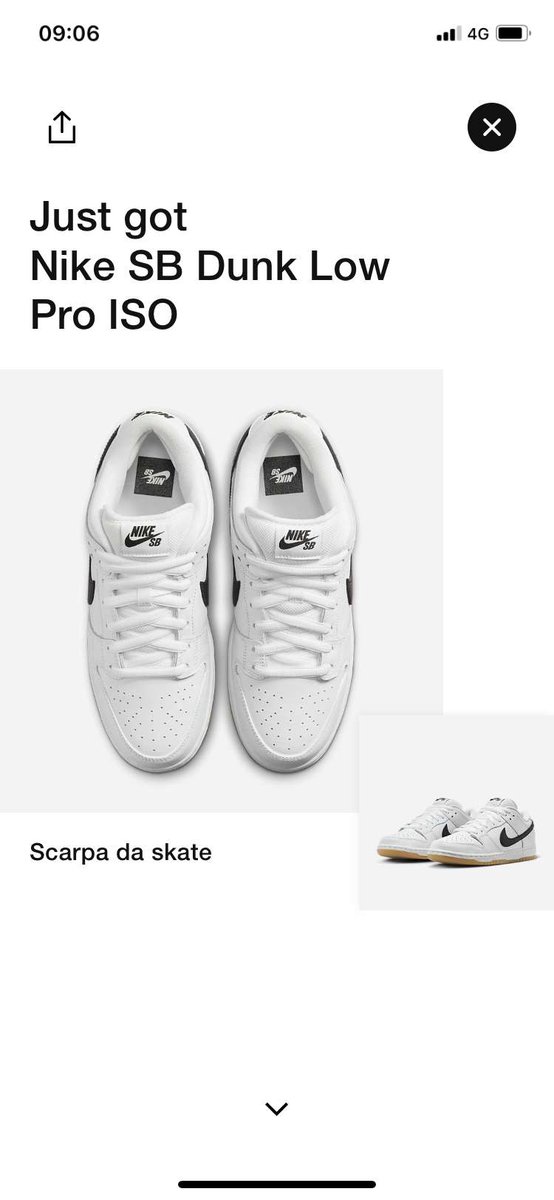 Success posted in Ninja Monitors | joey tagliabue