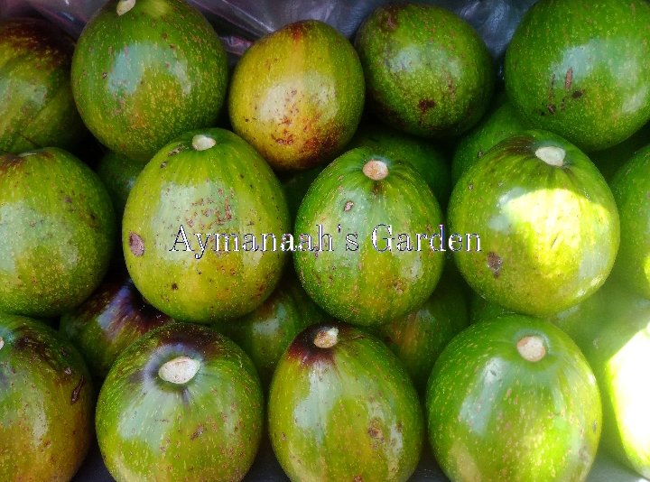aymanaaaah___'s tweet image. Hello Fam 🥰
Welcome to Aymanaah&apos;s Garden!!!! 
An online grocery store that is located in the beautiful city of Jos, Plateau state where we provide you with different varieties of nourishing fruits, vegetables, nuts and herbs directly from the farm for a healthy living. 

🍍🍓🍅