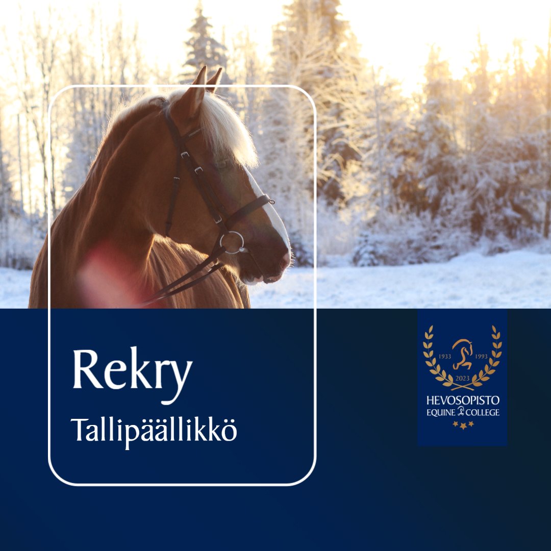 Etsimme yhä kehittyvään organisaatioomme vahvan liiketoiminnallisen otteen omaavaa tallipäällikköä toistaiseksi voimassa olevaan työsuhteeseen.   

Lue lisää avoimesta työpaikasta verkkosivuiltamme ja hae meille töihin:
hevosopisto.fi/avoimet-tyopai…

#rekry #ypäjä #hevosopisto