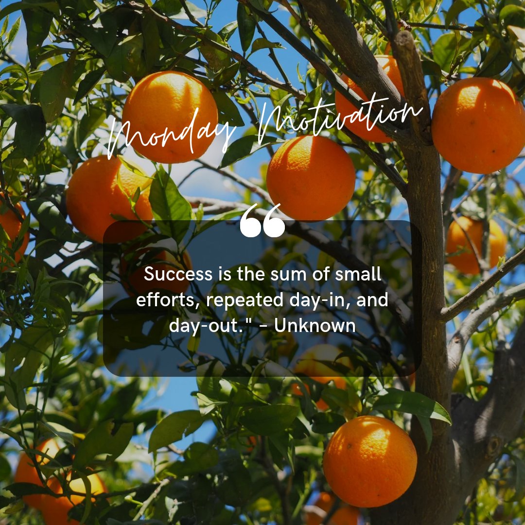 ujipatc's tweet photo. Monday is here, a new day of the week to lead us to success and happiness. Believe! #mondaythoughts #Motivation #successquotes #ipatc https://t.co/W3LqfPv2zx