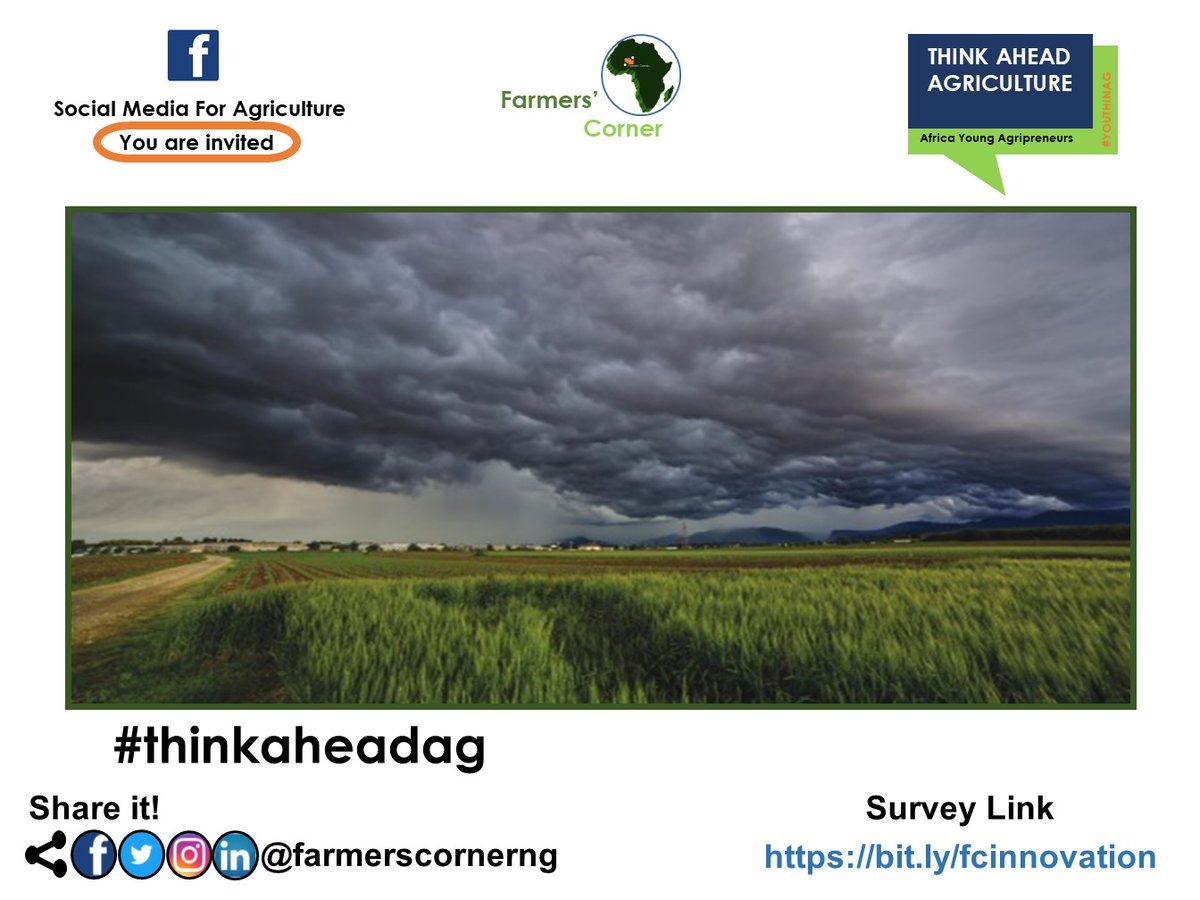 Hi farm operator,

Have you experienced first rain fall in your environment?

Tag a friend. #1strainfall #raining #rain #rainonfarm #farm #farming #agribusinessnigeria #thinkaheadag #farmerscornerng