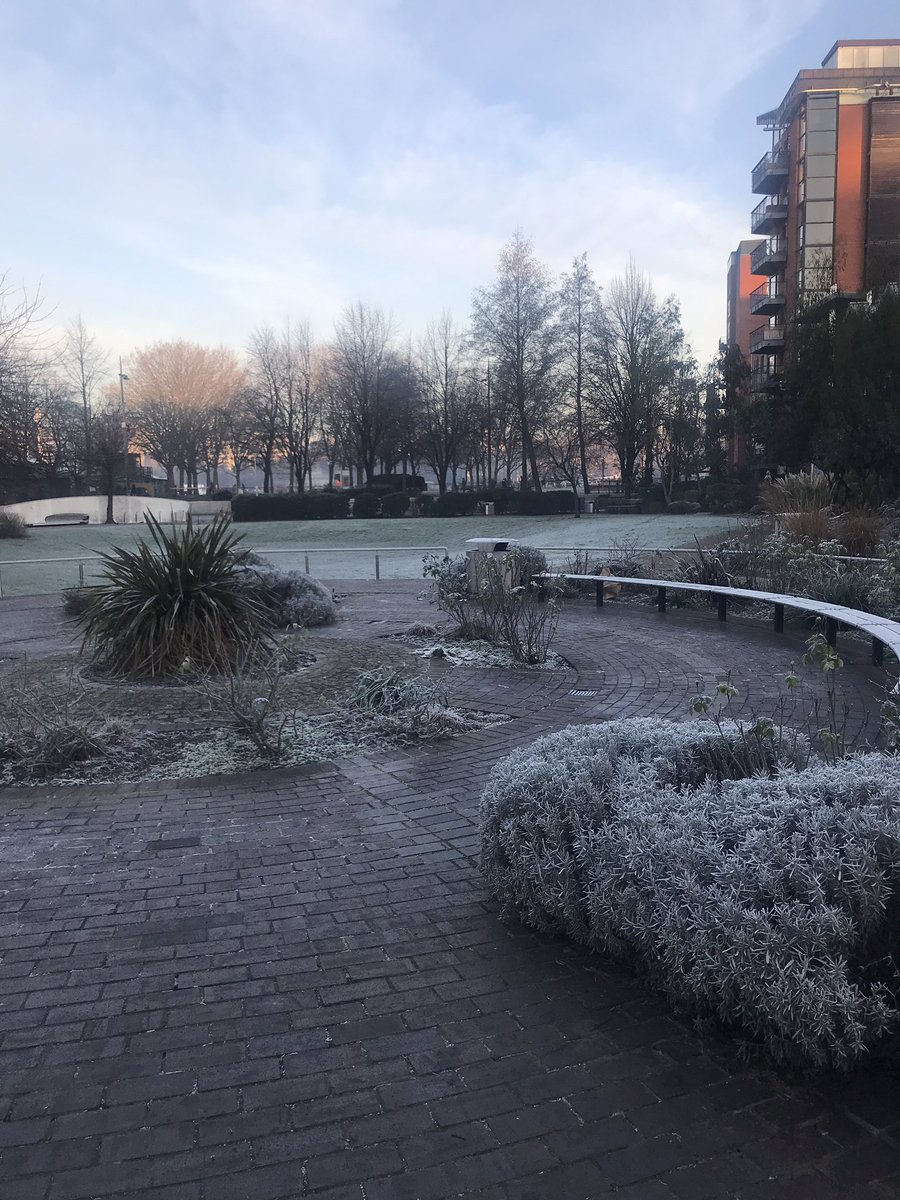 Gina Pipét tweet media