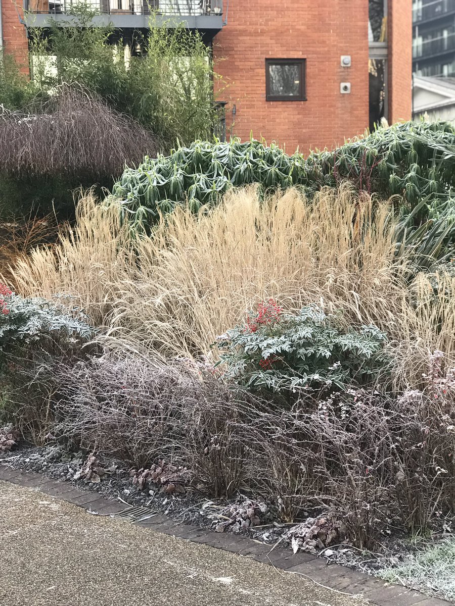 Gina Pipét tweet media