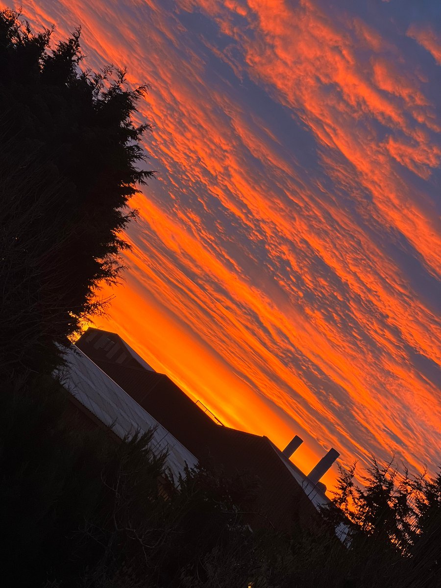 CreditonMilling's tweet image. Wow!! 😮

What an absolutely incredible view at the mill yesterday morning 😍.

Did you capture any photos of the colder weather ❄️ or sunrises 🌄 last week? We would love to see them.

#sunrise #devonviews #devonisheaven #wintersun