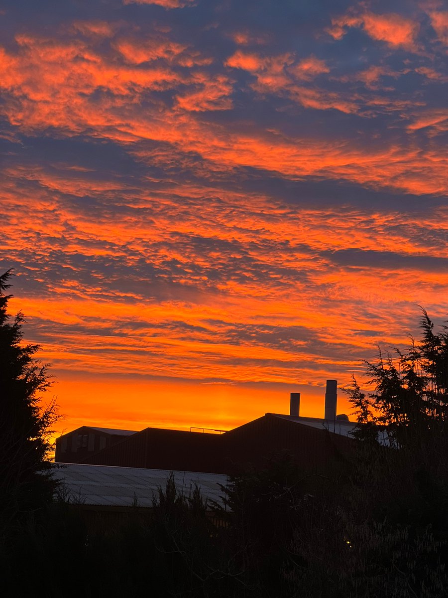 CreditonMilling's tweet image. Wow!! 😮

What an absolutely incredible view at the mill yesterday morning 😍.

Did you capture any photos of the colder weather ❄️ or sunrises 🌄 last week? We would love to see them.

#sunrise #devonviews #devonisheaven #wintersun