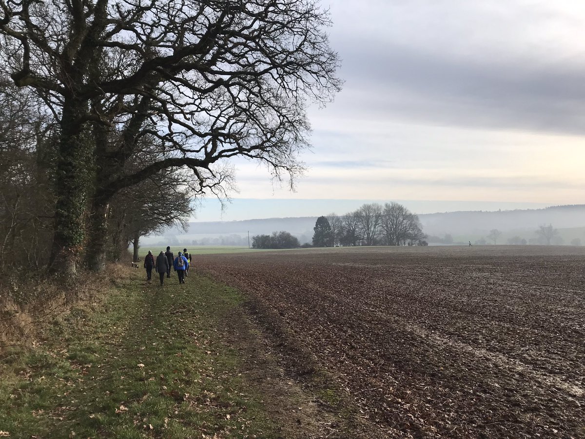 6 miles, 9 stiles & 8 mince pies on our icy group walk yesterday. Next group walk 12th Feb 4 miles, no stiles & shortbread biscuits! @WalkersrWelcome @visitpewseyvale @NorthWessexAONB @RamblersGB