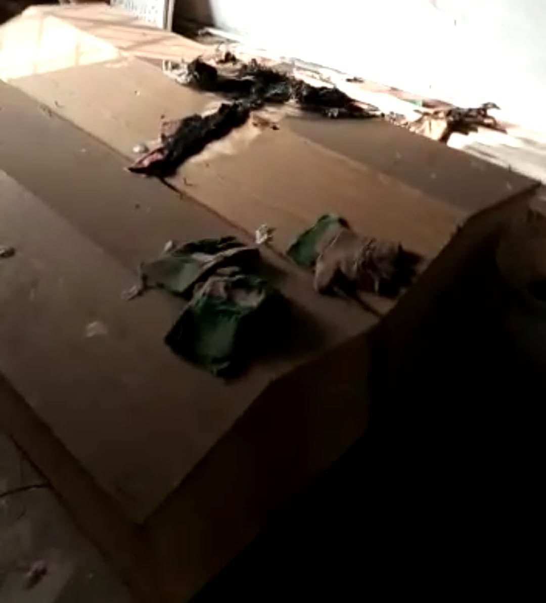 SaboohSyed's tweet photo. On 22.01.2023 at midnight some unknown miscreants desecrated Ahmadiyya graves at 89 GB Ratan, Faisalabad. They trespassed the Ahmadiyya graveyard by cutting the barbed wires.

Afterwards they tried to torch up the coffins &amp; some other items in the store. 2/1 https://t.co/f0zy6GLakr