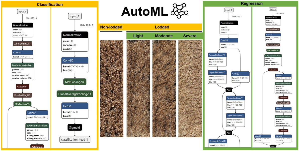 RemoteSens_MDPI's tweet image. #mostcited
👉 #AutomatedMachineLearning for High-Throughput Image-Based #PlantPhenotyping by Joshua C.O. Koh, German Spangenberg and Surya Kant
🔗 mdpi.com/2072-4292/13/5…