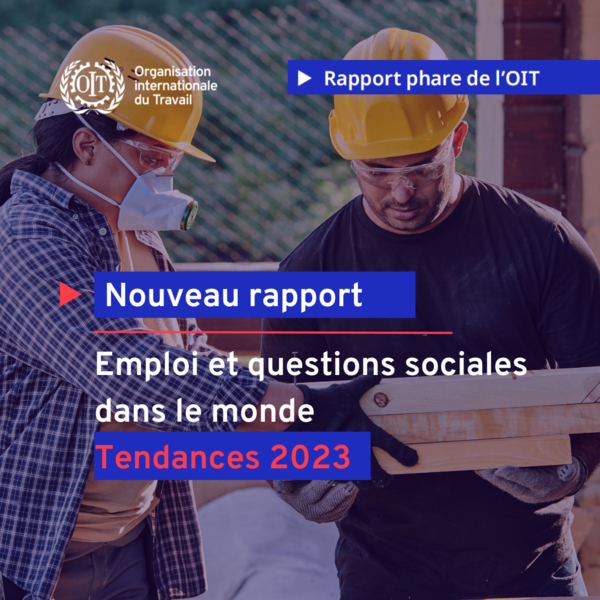 Organisation internationale du Travail tweet media