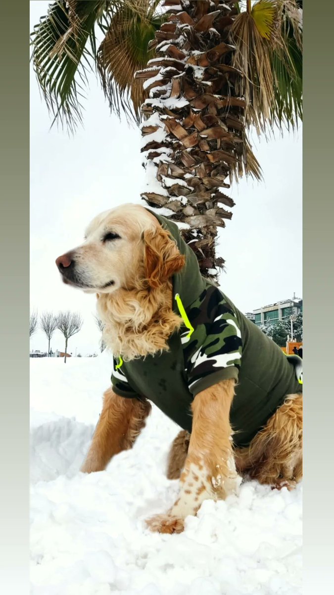 #hera benim adım maya çok dua ettim sana, elbet bir gün buluşacağız.