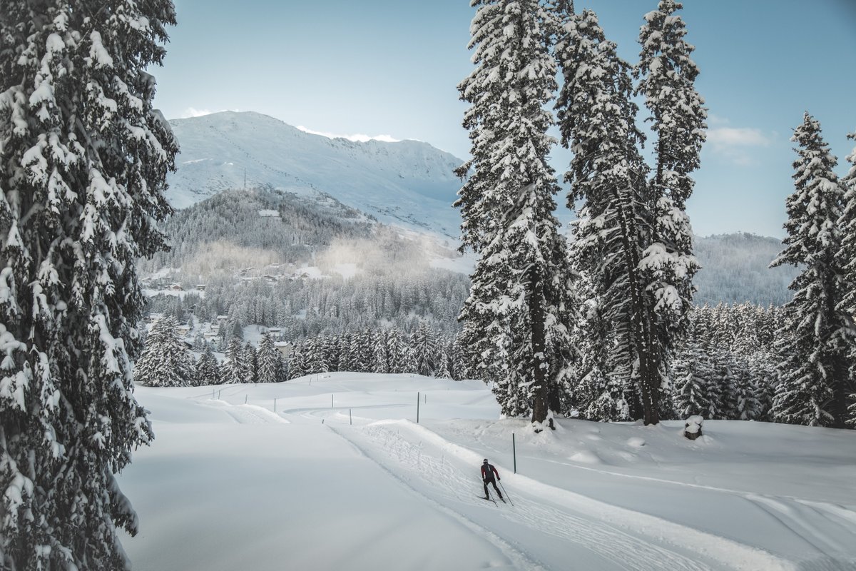 Vakantie? Wat is vakantie? Happy #CommunityManagerAppreciationDay 😁

📍Lenzerheide, <a href="/Graubunden/">Graubünden</a>