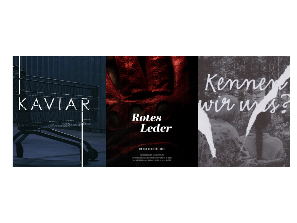 Drei Kurzfilm-Projekte der FH Salzburg im #Crowdfunding: 

crowdfunding-service.com/magazin/drei-k… 

#Kaviar #Kennenwiruns #RotesLeder #Kurzfilm