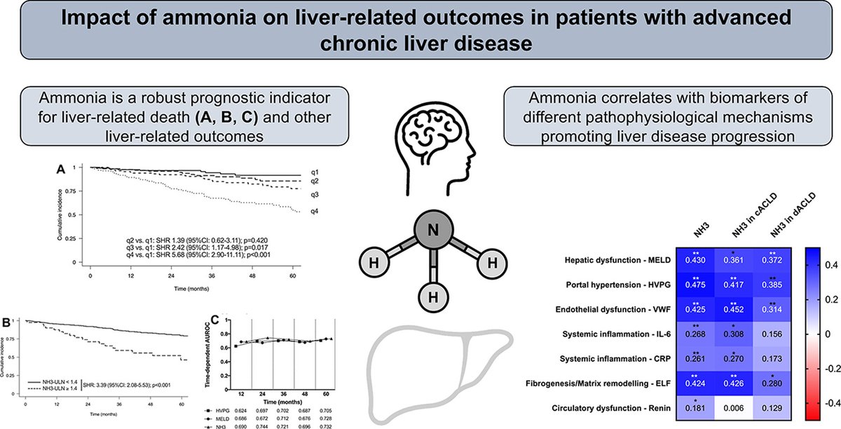 📢New data on ammonia in stable ACLD #livertwitter
👉Diabetes - 📈ammonia.
👉Linked with key disease-driving mechanisms.
👉Predicts liver-related outcomes, independently of established prognostic indicators including CRP/HVPG.
❓Direct ammonia toxicity❓
doi.org/10.1016/j.jhep…