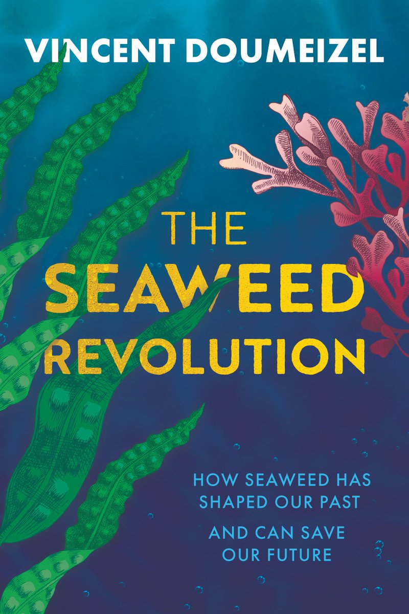 Lucybookpr's tweet image. We have some brilliant non-fiction coming out this Spring from Hero Press, including The Seaweed Revolution by @Doumeizel out 25th April #books #booktwitter #nonfiction #seaweed